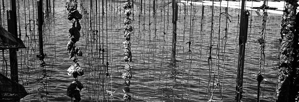 photographe, avignon, vaucluse, gard, bouches du rhône, mariage, baptême, naissance, grossesse, maternité, photo publicitaire, book photo, photo de mode, packshot photo, reportage photo, reportage photo entreprise, photographe portrait, portrait photo